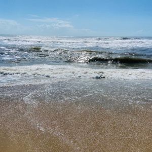 Meet your Posher, Jade